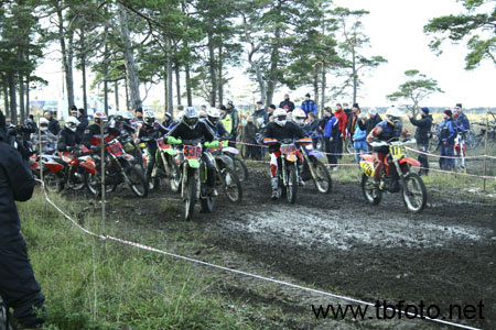 GGN08-2009