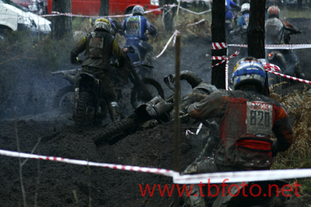 _MG_0962